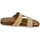 Chaussures Femme Sandales et Nu-pieds Down To Earth  Beige