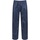 Vêtements Homme Pantalons Regatta RG1231 Bleu