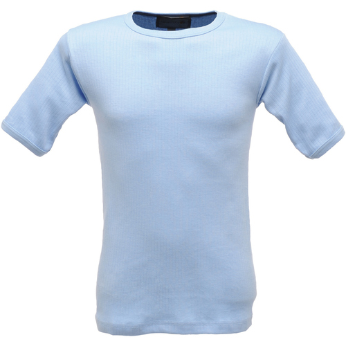 Vêtements Homme T-shirts manches courtes Regatta RG1427 Bleu