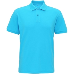 Vêtements Homme Polos manches courtes Asquith & Fox AQ005 Turquoise