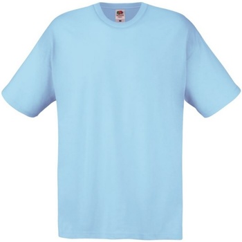 Vêtements Homme T-shirts manches courtes Fruit Of The Loom SS12 Bleu