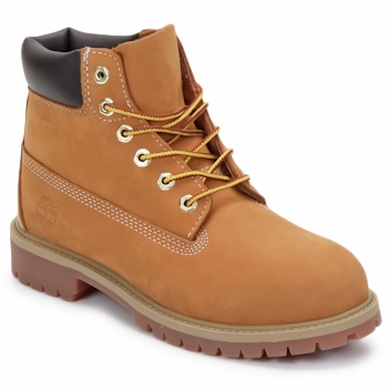 Chaussures Enfant Boots Timberland 6 IN PREMIUM WP BOOT collection Marron