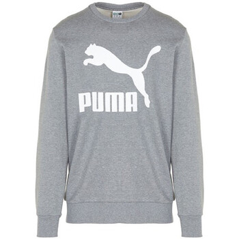Vêtements Homme Sweats Puma ARCH CLASSIC LOGO Gris
