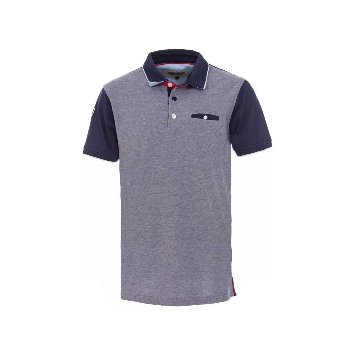 Vêtements Homme T-shirts & Polos Camberabero POLO RUGBY HOMME - Gris