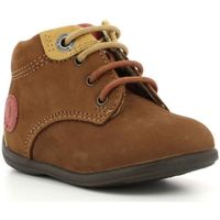 Chaussures Fille Boots Aster Olbi MARRON