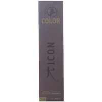 Beauté Colorations I.c.o.n. Ecotech Color Natural Color 10.0 Natural Platinum 
