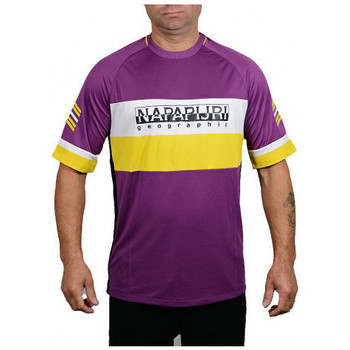 Vêtements Homme T-shirts & Polos Napapijri SALA MULTICOLOR Violet