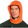 Vêtements Homme Sweats Reebok Sport DT Stretch Oth Z Vert, Orange