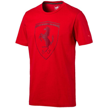 Vêtements Homme T-shirts & Polos Puma Ferrari Lifestyle Big Shield Rouge