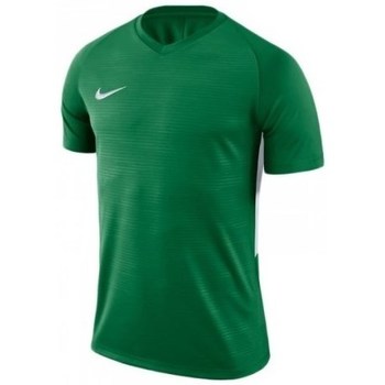 Vêtements Homme T-shirts manches courtes Nike Dry Tiempo Prem Jsy Vert