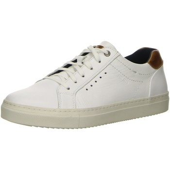 Chaussures Homme Sneakers Garvalin 221330-C-0 S Pop Salamander  Blanc