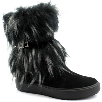 Chaussures Femme Bottines Antarctica ANT-CCC-5508-NE Noir