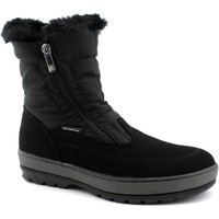 Chaussures Femme Bottines Antarctica ANT-CCC-7545-NE Noir