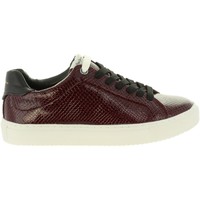 Chaussures Femme Baskets mode Pepe jeans PLS30751 ADAMS Rouge