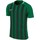 Vêtements Homme T-shirts manches courtes Nike Striped Division Iii Jsy Noir, Vert