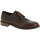 Chaussures Homme Derbies Raymont 625 BROWN Marron