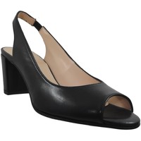Chaussures Femme Sandales et Nu-pieds Brenda Zaro F3275 Noir cuir