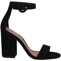 Chaussures Femme Sandales et Nu-pieds Steve Madden SMSFRIDAY-BLK Sandales Femme Noir Noir