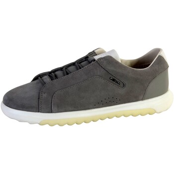 Geox Homme Baskets  124833