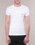 Vêtements Homme T-shirts manches courtes Emporio Armani CC716-111035-00010 Blanc