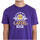 Vêtements Homme T-shirts & Polos New-Era NBA LEAGUE NET LOGO LOSLAK Violet