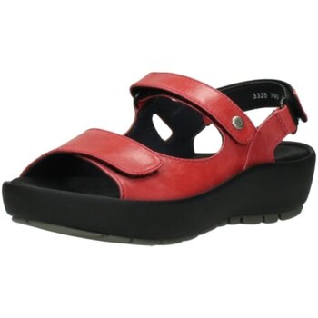 Chaussures Femme Sandales et Nu-pieds Wolky  Rouge