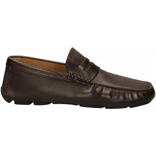 Brecos VITELLO Marron - Chaussures Mocassins Homme 111,20 €