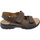 Chaussures Sandales et Nu-pieds Robert RO03310ma Marron