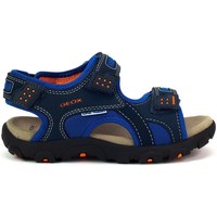 Chaussures Garçon Sandales sport Geox JR Strada Bleu marine