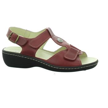 Chaussures Femme Rideaux / stores Longo  Rouge