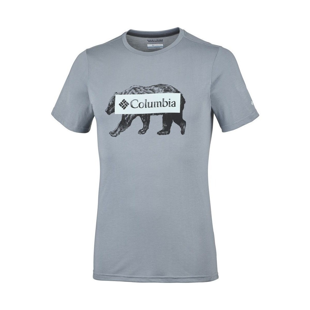 Vêtements Homme T-shirts manches courtes Columbia Box Logo Bear Gris