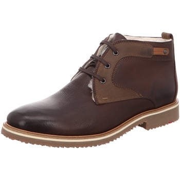 Chaussures Homme Boots Lloyd  Marron