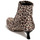 Chaussures Femme Lampes de bureau THE BRIDGETTE Leopard