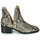 Chaussures Femme Cassandra Boots Steve Madden CONSPIRE Beige / python