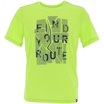 Vêtements Homme T-shirts & Polos Odlo Mill element acidlime tee Vert fluorescent