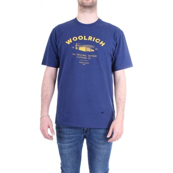 Vêtements Homme T-shirts manches courtes Woolrich WOTEE1158 T-Shirt/Polo homme bleu bleu