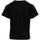 Vêtements Femme T-shirts manches courtes Champion Crewneck T-shirt Wn's noir