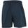 Vêtements Homme Shorts / Bermudas Panzeri Uni a acier jersey shor Gris