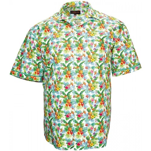 Vêtements Homme Chemises manches longues Doublissimo chemisette imprimee hawai vert Vert