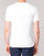 Vêtements Homme T-shirts manches courtes Levi's SLIM 2PK CREWNECK 1 Blanc