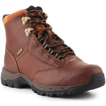 Chaussures Femme Boots Ariat Berwick lace GTX Insulated 10016298 Marron