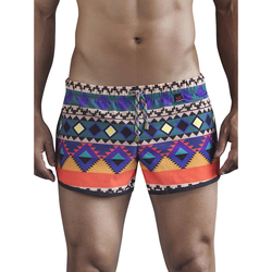 Vêtements Homme Maillots / Shorts de bain Clever Short bain Egyptian Noir