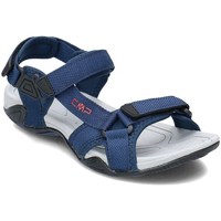 Chaussures Homme Sandales et Nu-pieds Cmp Hamal Hiking Bleu