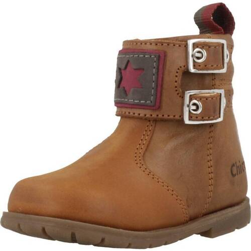 Chaussures Fille Boots Chicco GINKO Marron