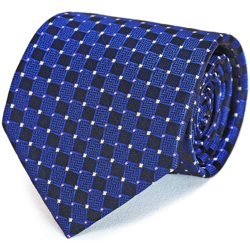 Vêtements Homme Cravates et accessoires Dandytouch Cravate Telas Bleu