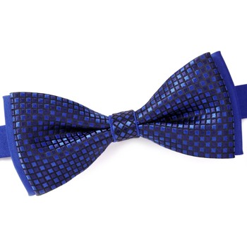 Vêtements Homme Cravates et accessoires Dandytouch Noeud papillon Flint Bleu