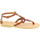 Chaussures Femme Sandales et Nu-pieds Attica Sandals GAIA CALF DK-BROWN Marron