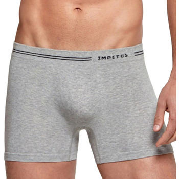 Sous-vêtements Homme Boxers Impetus Essentials Gris
