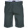 Vêtements Homme Shorts / Bermudas Dickies Tynan Gris