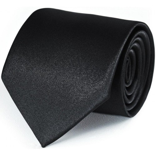 Vêtements Homme Cravates et accessoires Dandytouch Cravate unie Noir